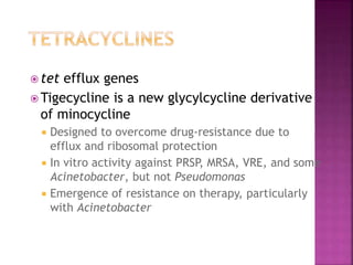  tet efflux genes
 Tigecycline is a new glycylcycline derivative
of minocycline
 Designed to overcome drug-resistance due to
efflux and ribosomal protection
 In vitro activity against PRSP, MRSA, VRE, and some
Acinetobacter, but not Pseudomonas
 Emergence of resistance on therapy, particularly
with Acinetobacter
 