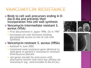  Binds to cell wall precursors ending in D-
Ala-D-Ala and prevents their
incorporation into cell wall synthesis
 Vancomycin-intermediate resistant S.
aureus (VISA)
 First documented in Japan 1996, US in 1997
 Increased cell wall thickness limiting
glycopeptide access to site of cell wall
synthesis
 Vancomycin-resistant S. aureus (VRSA)
 Isolated in June 2002
 Contained vanA resistance gene identical to
vanA gene in patient’s vancomycin-resistant
Enterococcus faecalis
 van genes encode for precursors with
alternative termini that have low affinity for
vancomycin (eg. vanA encodes D-Ala-D-Lac)
VISA
 
