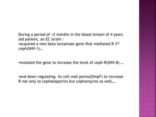 During a period of <2 months in the blood stream of 4 years
old patient, an EC strain :
•acquired a new beta lactamase gene that mediated R 3rd
ceph(SHV-1)…
•mutated the gene to increase the level of ceph-R(SHV-8) …
•and down regulating its cell wall porins(OmpF) to increase
R not only to cephalosporins but cephamycins as well….
 