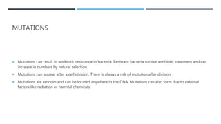 MUTATIONS
 Mutations can result in antibiotic resistance in bacteria. Resistant bacteria survive antibiotic treatment and can
increase in numbers by natural selection.
 Mutations can appear after a cell division. There is always a risk of mutation after division.
 Mutations are random and can be located anywhere in the DNA. Mutations can also form due to external
factors like radiation or harmful chemicals.
 