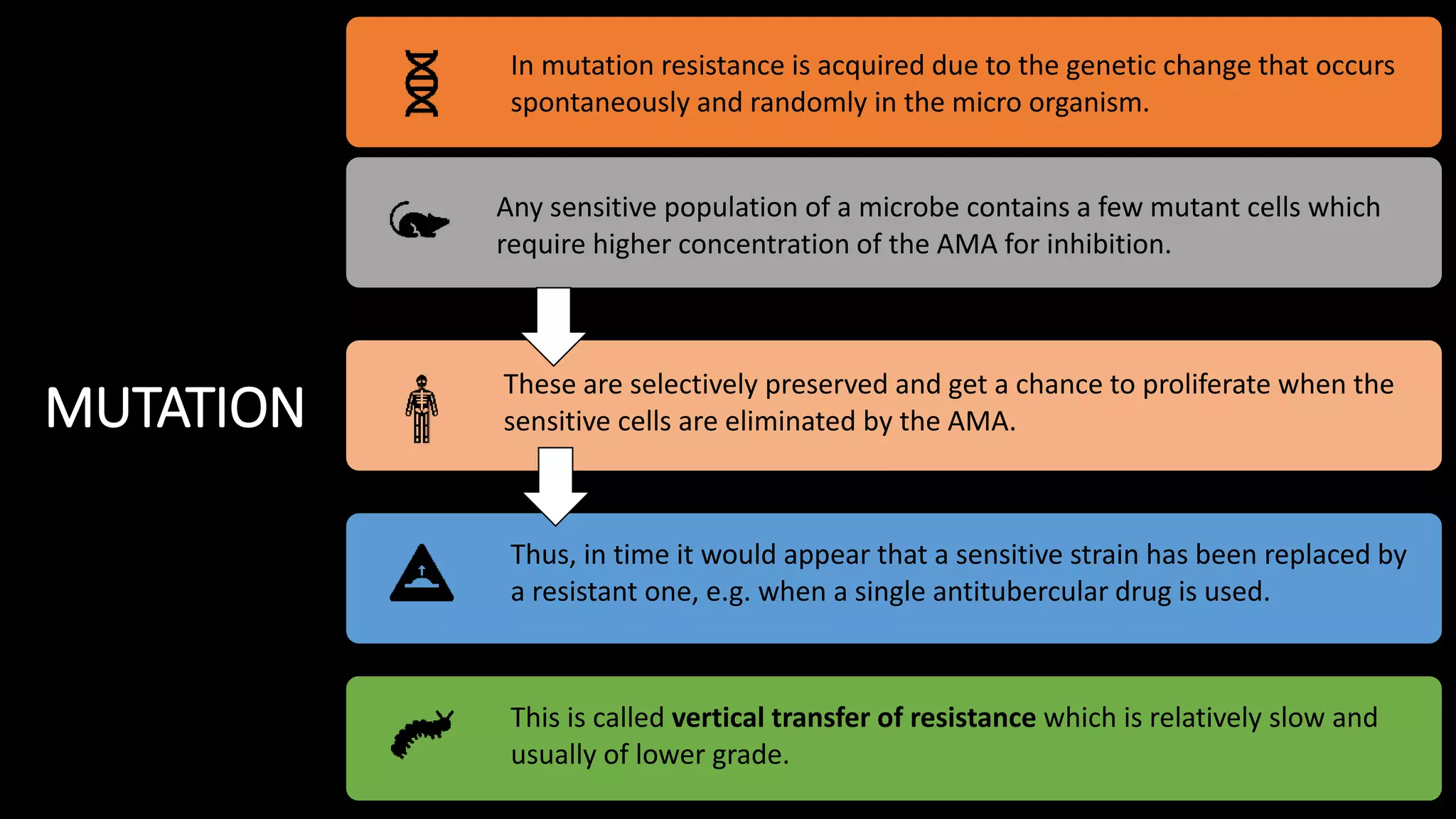 ANTIMICROBIAL RESISTANCE | PPTX