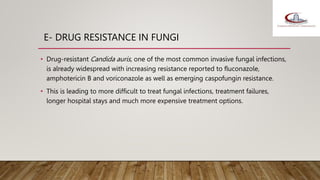 E- DRUG RESISTANCE IN FUNGI
• Drug-resistant Candida auris, one of the most common invasive fungal infections,
is already widespread with increasing resistance reported to fluconazole,
amphotericin B and voriconazole as well as emerging caspofungin resistance.
• This is leading to more difficult to treat fungal infections, treatment failures,
longer hospital stays and much more expensive treatment options.
 