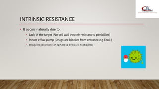 INTRINSIC RESISTANCE
• It occurs naturally due to:
• Lack of the target (No cell wall innately resistant to penicillins)
• Innate efflux pump (Drugs are blocked from entrance e.g Ecoli )
• Drug inactivation (chephalosporines in klebsiella)
 