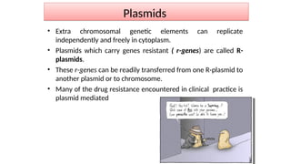 Plasmids
• Extra chromosomal genetic elements can replicate
independently and freely in cytoplasm.
• Plasmids which carry genes resistant ( r-genes) are called R-
plasmids.
• These r-genes can be readily transferred from one R-plasmid to
another plasmid or to chromosome.
• Many of the drug resistance encountered in clinical practice is
plasmid mediated
 
