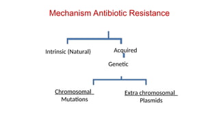 Mechanism Antibiotic Resistance
Intrinsic (Natural) Acquired
Genetic
Chromosomal
Mutations
Extra chromosomal
Plasmids
 