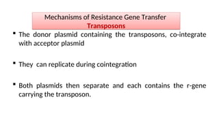  The donor plasmid containing the transposons, co-integrate
with acceptor plasmid
 They can replicate during cointegration
 Both plasmids then separate and each contains the r-gene
carrying the transposon.
Mechanisms of Resistance Gene Transfer
Transposons
 