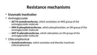 Resistance mechanisms
• Enzymatic inactivation
• Aminoglycoside
– ACT N-acetyltransferase, which acetylates an NH2 group of the
aminoglycoside molecule
– APH O-phosphotransferase, which phosphorylates an OH group of the
aminoglycoside molecule
– ANT O-adenyltransferase, which adenylates an OH group of the
aminoglycoside molecule
• Chloramphenicol
– Acetyltransferases, which acetylate and thereby inactivate
chloramphenicol
 