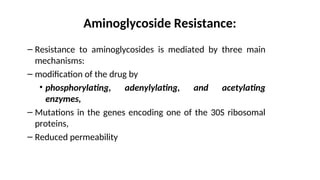 Aminoglycoside Resistance:
– Resistance to aminoglycosides is mediated by three main
mechanisms:
– modification of the drug by
• phosphorylating, adenylylating, and acetylating
enzymes,
– Mutations in the genes encoding one of the 30S ribosomal
proteins,
– Reduced permeability
 
