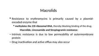 Macrolids
Macrolide, Lincosamide and Streptogramin resistance:
 Resistance to erythromycins is primarily caused by a plasmid-
encoded enzyme that
 methylates the 23S ribosomal RNA, thereby blocking binding of the drug.
– Intrinsic resistance is due to low permeability of outermembrane
protein
– Drug inactivation and active efflux may also occur
 
