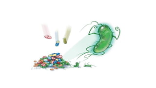 antimicrobial resistance in bacteria .ppt