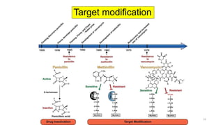 Antimicrobial resistance shakhes | PPT