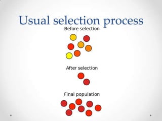 Usual selection process
 