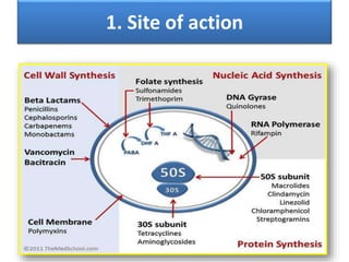 1. Site of action
 