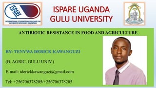 ISPARE UGANDA
GULU UNIVERSITY
ANTIBIOTIC RESISTANCE IN FOOD AND AGRICULTURE
BY: TENYWA DERICK KAWANGUZI
(B. AGRIC, GULU UNIV.)
E-mail: tderickkawanguzi@gmail.com
Tel: +256706378205/+256706378205
 