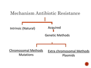 Mechanism Antibiotic Resistance
Intrinsic (Natural) Acquired
Genetic Methods
Chromosomal Methods
Mutations
Extra chromosomal Methods
Plasmids
 