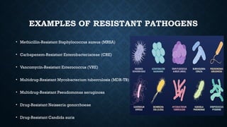 Antimicrobial_Resistance_Presentation.pptx