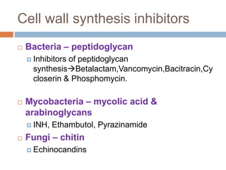 Cell wall synthesis inhibitors
 Bacteria – peptidoglycan
 Inhibitors of peptidoglycan
synthesisBetalactam,Vancomycin,Bacitracin,Cy
closerin & Phosphomycin.
 Mycobacteria – mycolic acid &
arabinoglycans
 INH, Ethambutol, Pyrazinamide
 Fungi – chitin
 Echinocandins
 