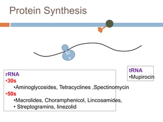 Protein Synthesis
rRNA
•30s
•Aminoglycosides, Tetracyclines ,Spectinomycin
•50s
•Macrolides, Choramphenicol, Lincosamides,
• Streptogramins, linezolid
tRNA
•Mupirocin
 