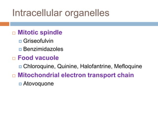 Intracellular organelles
 Mitotic spindle
 Griseofulvin
 Benzimidazoles
 Food vacuole
 Chloroquine, Quinine, Halofantrine, Mefloquine
 Mitochondrial electron transport chain
 Atovoquone
 