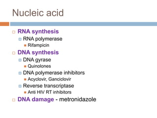 Nucleic acid
 RNA synthesis
 RNA polymerase
 Rifampicin
 DNA synthesis
 DNA gyrase
 Quinolones
 DNA polymerase inhibitors
 Acyclovir, Ganciclovir
 Reverse transcriptase
 Anti HIV RT inhibitors
 DNA damage - metronidazole
 