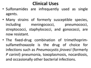 Clinical Uses
• Sulfonamides are infrequently used as single
agents.
• Many strains of formerly susceptible species,
including meningococci, pneumococci,
streptococci, staphylococci, and gonococci, are
now resistant.
• The fixed-drug combination of trimethoprim-
sulfamethoxazole is the drug of choice for
infections such as Pneumocystis jiroveci (formerly
P carinii) pneumonia, toxoplasmosis, nocardiosis,
and occasionally other bacterial infections.
 