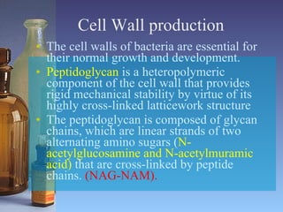 Cell Wall production The cell walls of bacteria are essential for their normal growth and development.  Peptidoglycan  is a heteropolymeric component of the cell wall that provides rigid mechanical stability by virtue of its highly cross-linked latticework structure  The peptidoglycan is composed of glycan chains, which are linear strands of two alternating amino sugars ( N-acetylglucosamine and N-acetylmuramic acid)  that are cross-linked by peptide chains.  (NAG-NAM).  