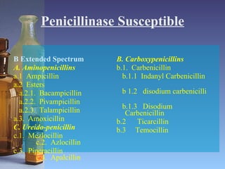 Penicillinase Susceptible B Extended Spectrum A. Aminopenicillins   a.1  Ampicillin  a.2  Esters    a.2.1.  Bacampicillin  a.2.2.  Pivampicillin  a.2.3.  Talampicillin  a.3.  Amoxicillin  C. Ureido-penicillin c.1.  Mezlocillin c.2.  Azlocillin c.3.  Piperacillin c.4.  Apalcillin B. Carboxypenicillins   b.1.  Carbenicillin  b.1.1  Indanyl Carbenicillin  b 1.2  disodium carbenicilli  b.1.3  Disodium Carbenicillin  b.2  Ticarcillin b.3  Temocillin 