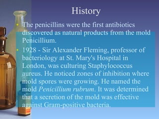 History The penicillins were the first antibiotics discovered as natural products from the mold Penicillium.  1928 - Sir Alexander Fleming, professor of bacteriology at St. Mary's Hospital in London, was culturing Staphylococcus aureus. He noticed zones of inhibition where mold spores were growing. He named the mold  Penicillium rubrum . It was determined that a secretion of the mold was effective against Gram-positive bacteria.  