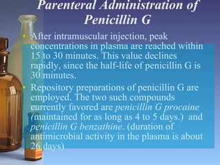 Parenteral Administration of Penicillin G After intramuscular injection, peak concentrations in plasma are reached within 15 to 30 minutes. This value declines rapidly, since the half-life of penicillin G is 30 minutes. Repository preparations of penicillin G are employed. The two such compounds currently favored are  penicillin G   procaine ( maintained for as long as 4 to 5 days.)  and  penicillin G benzathine . (duration of antimicrobial activity in the plasma is about 26 days) 