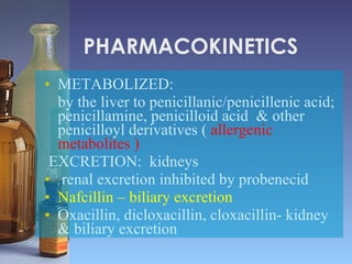 PHARMACOKINETICS METABOLIZED: by the liver to penicillanic/penicillenic acid; penicillamine, penicilloid acid  & other penicilloyl derivatives (  allergenic metabolites ) EXCRETION:  kidneys  renal excretion inhibited by probenecid Nafcillin – biliary excretion Oxacillin, dicloxacillin, cloxacillin- kidney & biliary excretion 