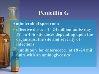 Penicillin G Antimicrobial spectrum: effective doses : 4 - 24 million units/ day IV  in 4 -6  div doses depending upon the organisms, the site and severity of infections inhibitory for enterococci  at 18 -24 mil units with an aminoglycoside  