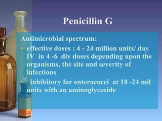 Penicillin G <ul><li>Antimicrobial spectrum: </li></ul><ul><li>effective doses : 4 - 24 million units/ day IV  in 4 -6  di...