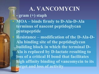 A. VANCOMYCIN - gram (+) staph MOA – binds firmly to D-Ala-D-Ala terminus of nascent peptidoglycan pentapeptide Resistance – modification of the D-Ala-D-Ala binding site of the peptidoglycan building block in which the terminal D-Ala is replaced by D-lactate resulting to loss of a critical H bond that facilitates high affinity binding of vancomycin to its target and loss of activity 