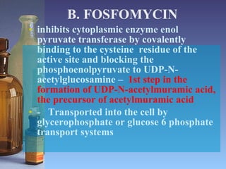 B. FOSFOMYCIN inhibits cytoplasmic enzyme enol pyruvate transferase by covalently binding to the cysteine  residue of the active site and blocking the phosphoenolpyruvate to UDP-N-  acetylglucosamine –  1st step in the formation of UDP-N-acetylmuramic acid, the precursor of acetylmuramic acid -  Transported into the cell by glycerophosphate or glucose 6 phosphate transport systems 