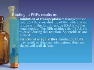 Binding to PBPs results in: Inhibition of transpeptidase:  transpeptidase catalyzes the cross-linking of the pentaglycine bridge with the fourth residue (D-Ala) of the pentapeptide. The fifth residue (also D-Ala) is released during this reaction. Spheroblasts are formed. Structural irregularities:  binding to PBPs may result in abnormal elongation, abnormal shape, cell wall defects. 