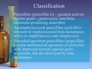 Classification Penicillins (penicillin G) – greatest activity against gram+, gram-cocci, non-beta-lactamase-producing anaerobes Antistaphylococcal penicillins (nafcillin) – resistant to staphylococcal beta-lactamases, active to staphylococci and streptococci Extended-spectrum penicillins (ampicillin) – retain antibacterial spectrum of penicillin with improved activity against gram- organisms, but are destroyed by beta-lactamases 