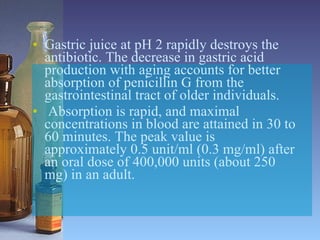 Gastric juice at pH 2 rapidly destroys the antibiotic. The decrease in gastric acid production with aging accounts for better absorption of penicillin G from the gastrointestinal tract of older individuals. Absorption is rapid, and maximal concentrations in blood are attained in 30 to 60 minutes. The peak value is approximately 0.5 unit/ml (0.3 mg/ml) after an oral dose of 400,000 units (about 250 mg) in an adult.  
