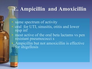 E. Ampicillin  and Amoxicillin same spectrum of activity  oral  for UTI, sinusitis, otitis and lower  resp inf most active of the oral beta lactams vs pen resistant pneumococci s Ampicillin but not amoxicillin is effective for shigellosis  