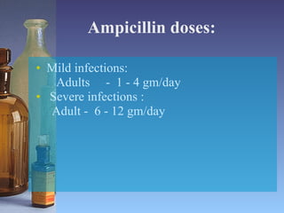 Ampicillin doses:  Mild infections:    Adults  -  1 - 4 gm/day Severe infections :  Adult -  6 - 12 gm/day 