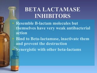 BETA LACTAMASE INHIBITORS Resemble B-lactam molecules but themselves have very weak antibacterial action Bind to Beta-lactamase, inactivate them and prevent the destruction Synergistic with other beta-lactams 