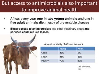 Antimicrobial use in African agriculture and its implications