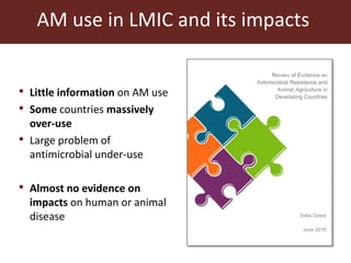 Antimicrobial use in African agriculture and its implications