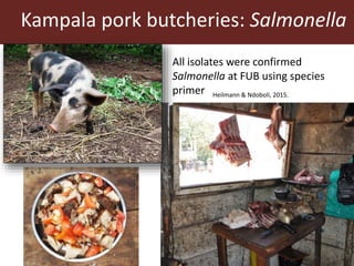 Antimicrobial use in African agriculture and its implications