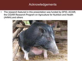 Antimicrobial use in African agriculture and its implications