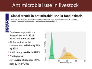 Antimicrobial use in African agriculture and its implications