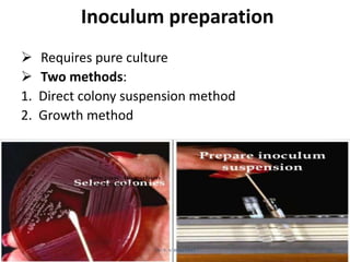 Direct Inoculation Steps Antimicrobial sensitivity testing | PPTX