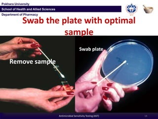 Department of Pharmacy
Pokhara University
School of Health and Allied Sciences
Department of Pharmacy
Pokhara University
School of Health and Allied Sciences
Remove sample
Swab plate
Swab the plate with optimal
sample
14Antimicrobial Sensitivity Testing (AST)
 