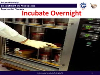 Department of Pharmacy
Pokhara University
School of Health and Allied Sciences
Department of Pharmacy
Pokhara University
School of Health and Allied Sciences
Incubate Overnight
16Antimicrobial Sensitivity Testing (AST)
 