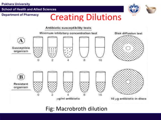 Department of Pharmacy
Pokhara University
School of Health and Allied Sciences
Department of Pharmacy
Pokhara University
School of Health and Allied Sciences
Creating Dilutions
Fig: Macrobroth dilution
 