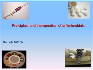Dr. V.K. GUPTA
Division of Medicine
Principles and therapeutics of antimicrobialsPrinciples and therapeutics of antimicrobials
 